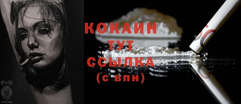 COCAIN Fish Scale  Кемь 